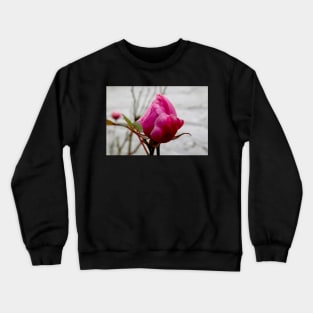 By Any Other Name Crewneck Sweatshirt